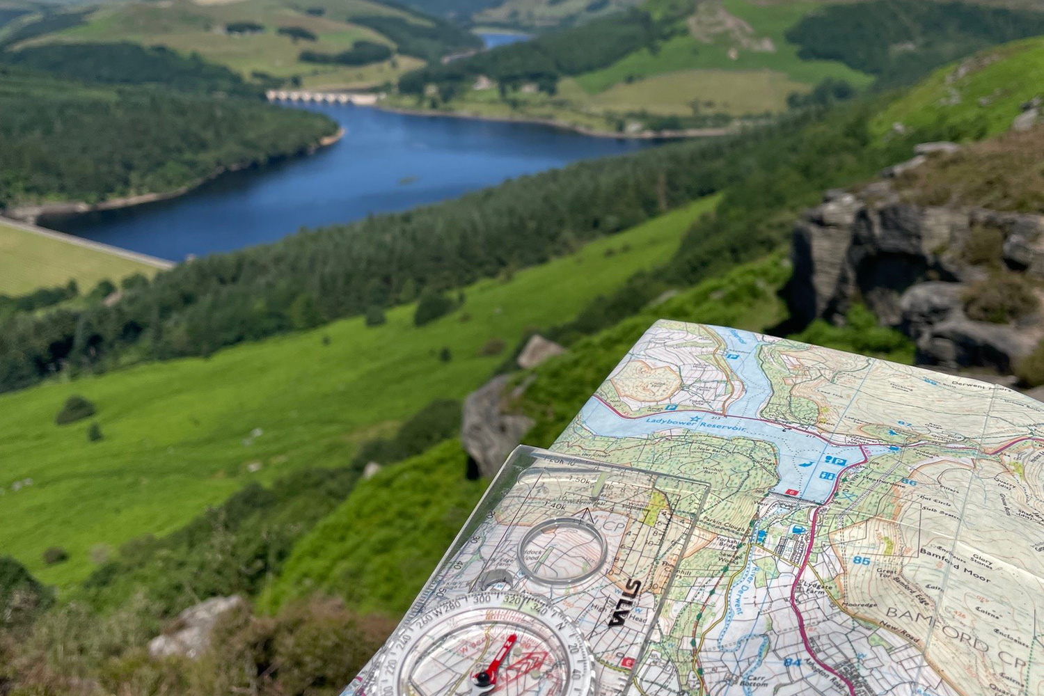 Trail Running for Beginners