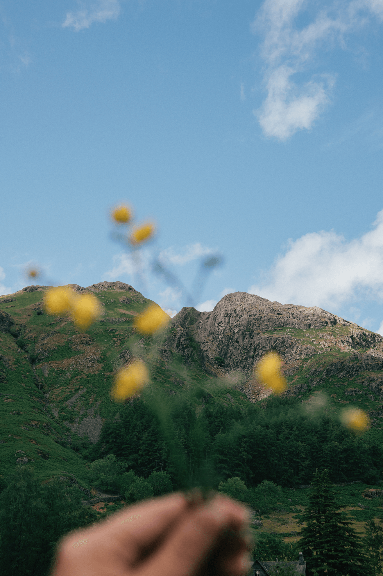 250524_ACLD25_BaseCamp_ElenaCremona_4157 1